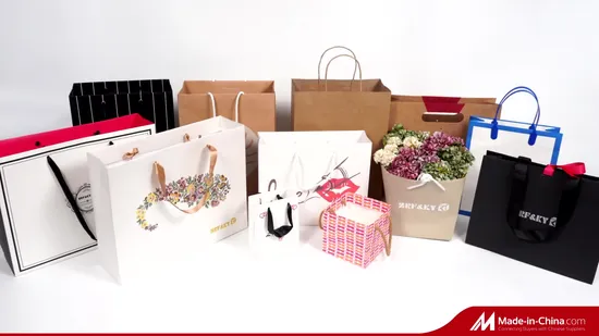 Recycled Ladies Carrier White/Brown/Black/Green/Art/Kraft/Coated Paper Bag Shopping Bag for Clothes/Apparel/Gift